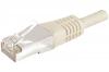 DEXLAN Cordon RJ45 CAT 6A F/UTP gris - 0,5 m